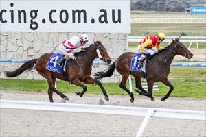 Immelmann winning at Pakenham 13 Aug 2018